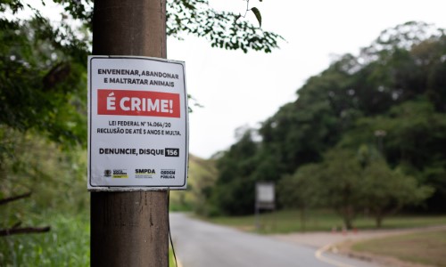 Prefeitura de VR inicia instalação de placas de conscientização contra abandono e maus-tratos aos animais